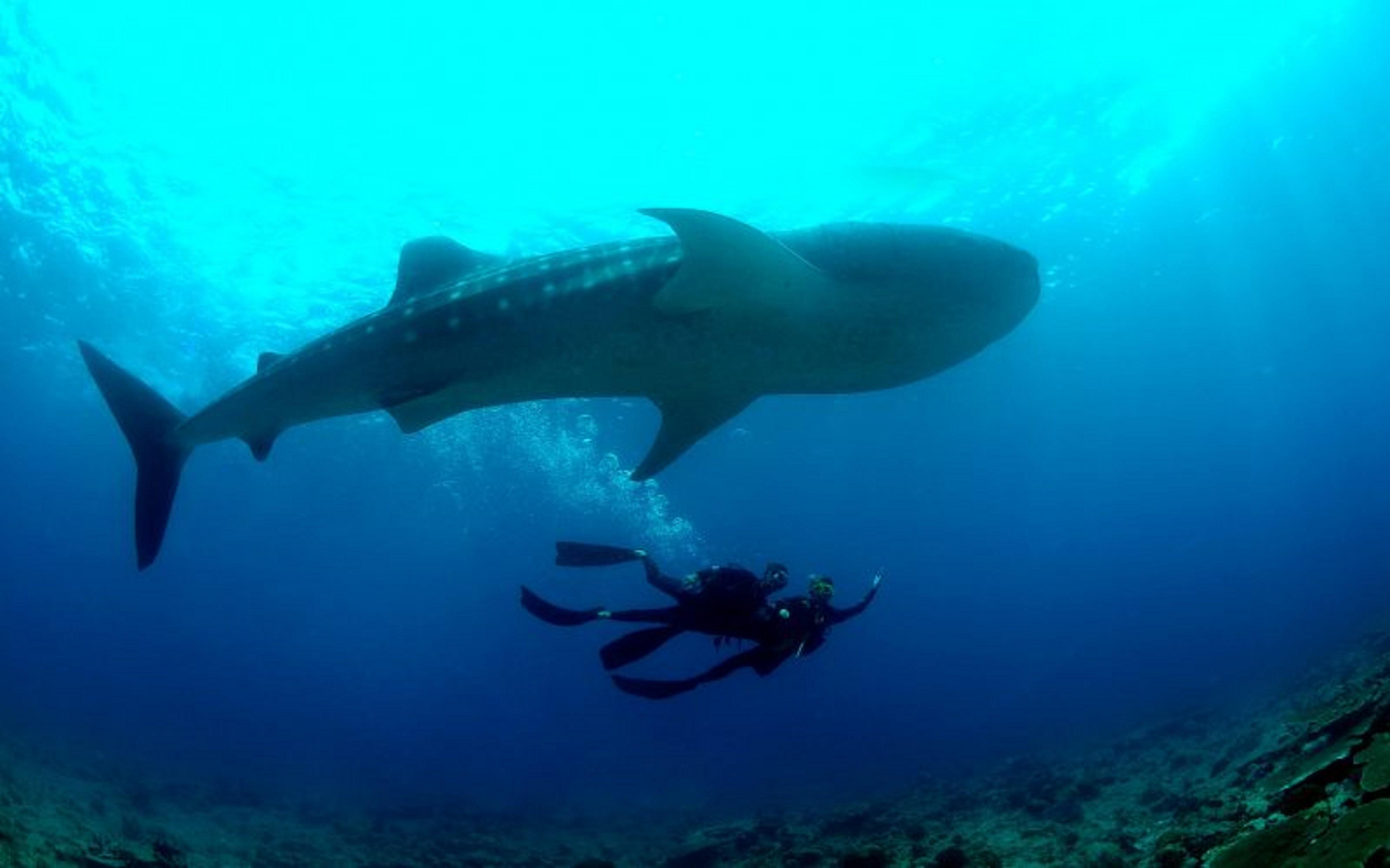 แบคลีโอนี รีสอร์ท มัลดีฟส์ - เดอะ ลีดดิง โฮเทล ออฟ เดอะ เวิร์ด Meedhoo  ภายนอก รูปภาพ
